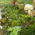 La Maison De 3* Saumur