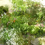 La Maison De Panzió