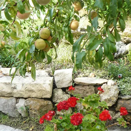 La Maison De