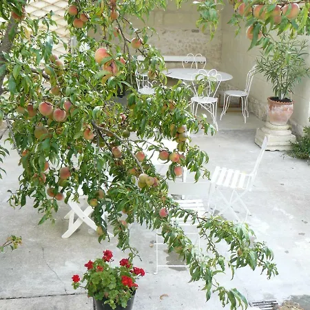 Bed & Breakfast La Maison De Saumur