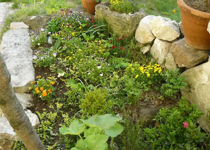 La Maison De 3* Saumur